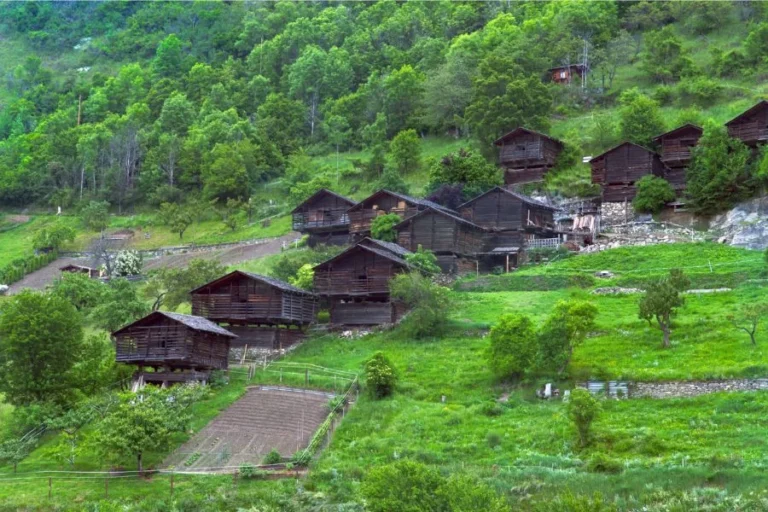 Nomurano