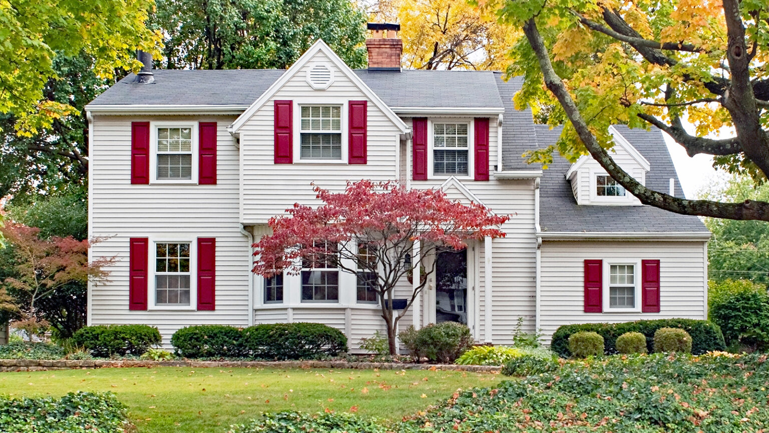 Trees in Front of House