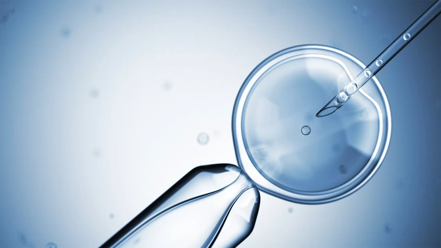 Understanding the Costs Involved in In-Vitro Fertilization